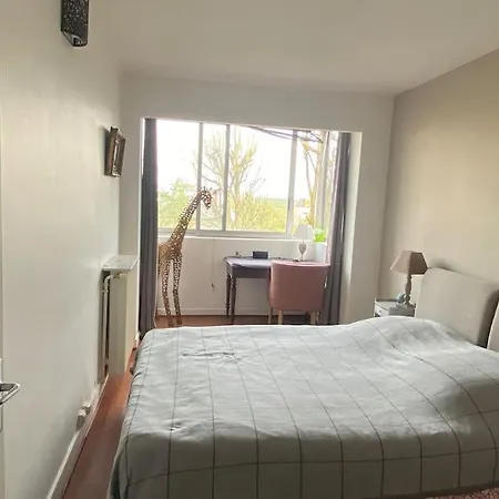 Appartement Beau Duplex Vue Tour Eiffel Saint-Cloud